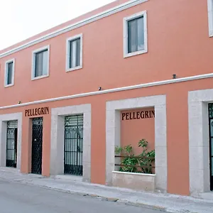 Hotel Casa Pellegrin
